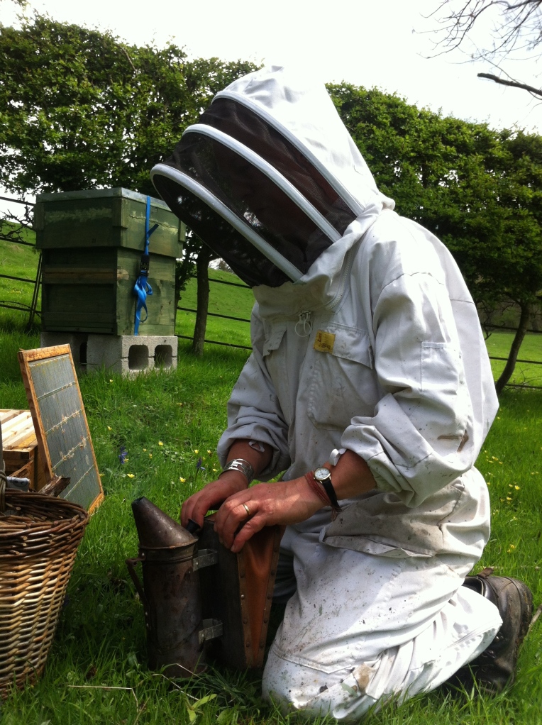 Kirsty Williams, British Bee Breeder.